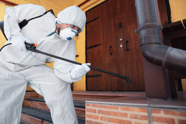 istockphoto 1224387096 612x612